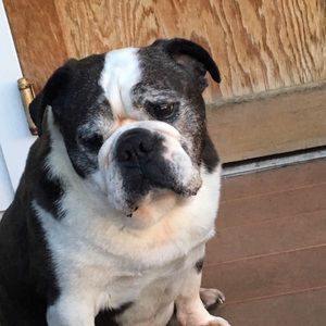 Meet your Posher, Tonya